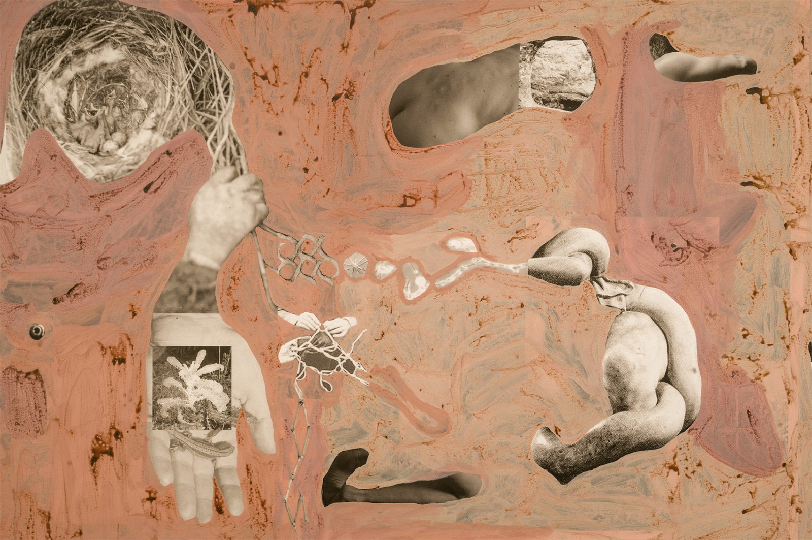 圖十二、《地勢 (關于時間，關于身體)》 (細節(jié)圖)，O?zlem Alt?n，2019