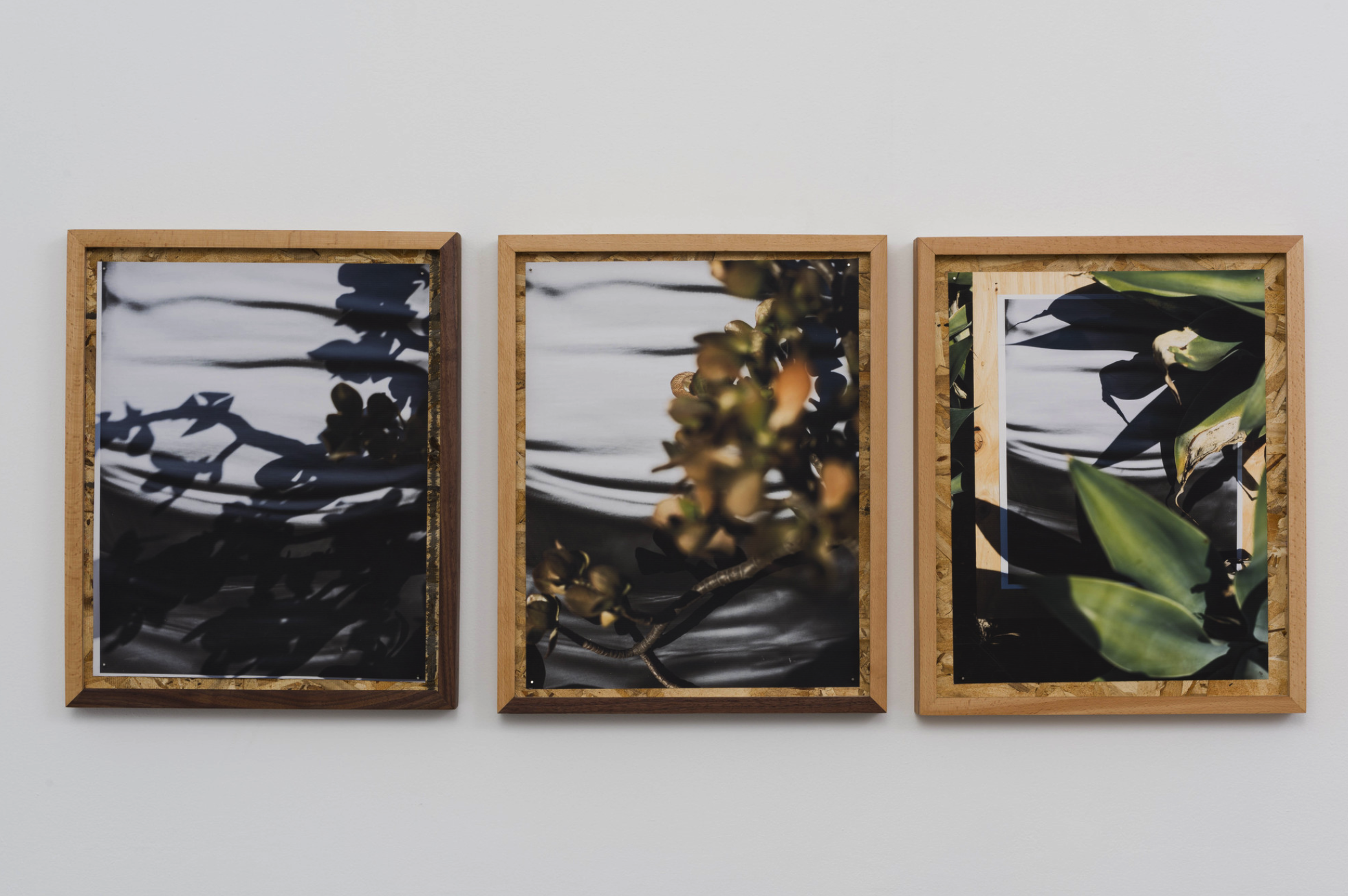 圖四、從左至右《庫卡蒙格牧場 34.1064° N, 117.5931° W. 》2018《回聲公園 34.0782° N, 118.2606° W.》 2018《康普頓 33.8958° N, 118.2201° W. 2018》David Alekhuogie